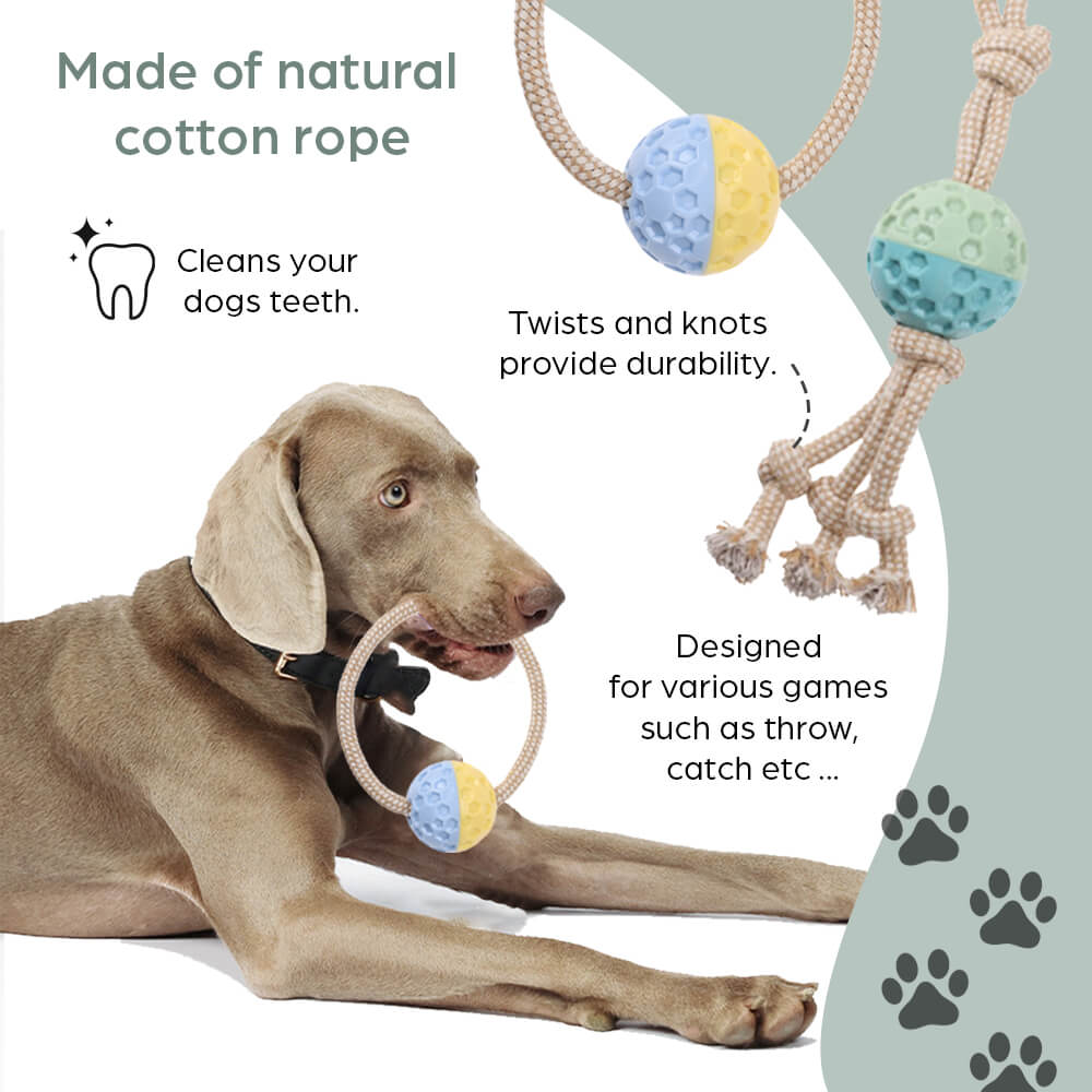 Juguete para perros ecológico con pelota
