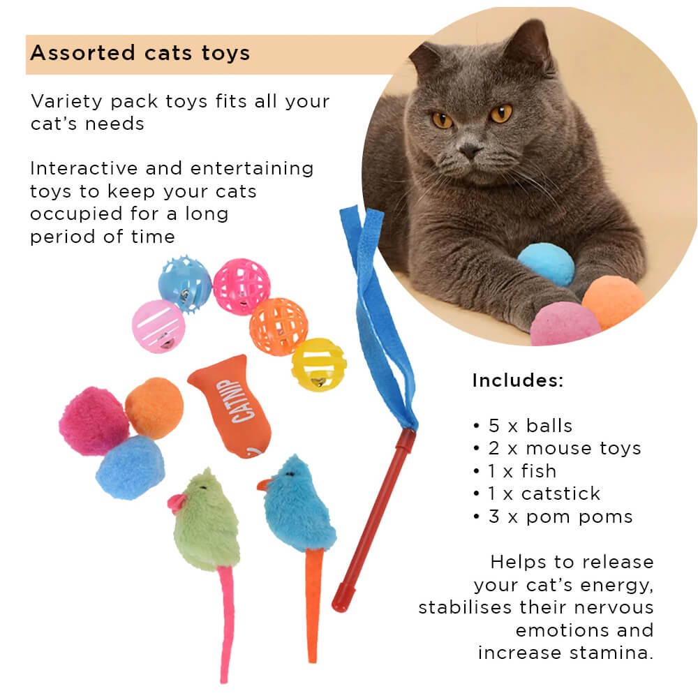 Kit de juguetes para gatos: tapete para rascar y juguetes