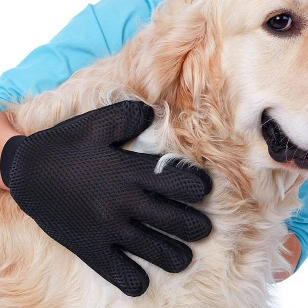 Handschuh zum Entfernen von Tierhaaren mit doppelseitiger Bürste