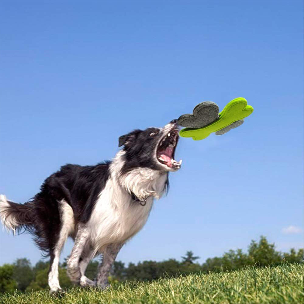 Juguete de disco volador para perros