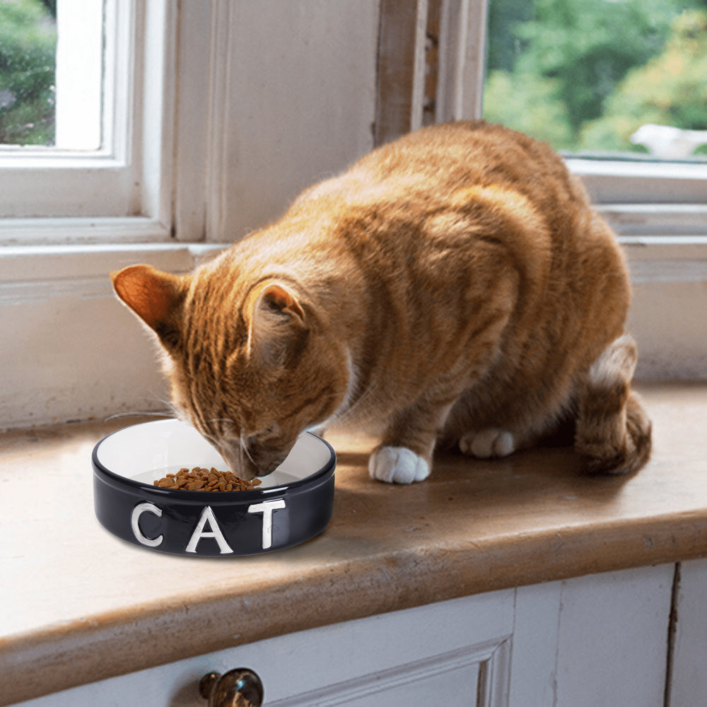 Starter-Set für Haustierkatzen