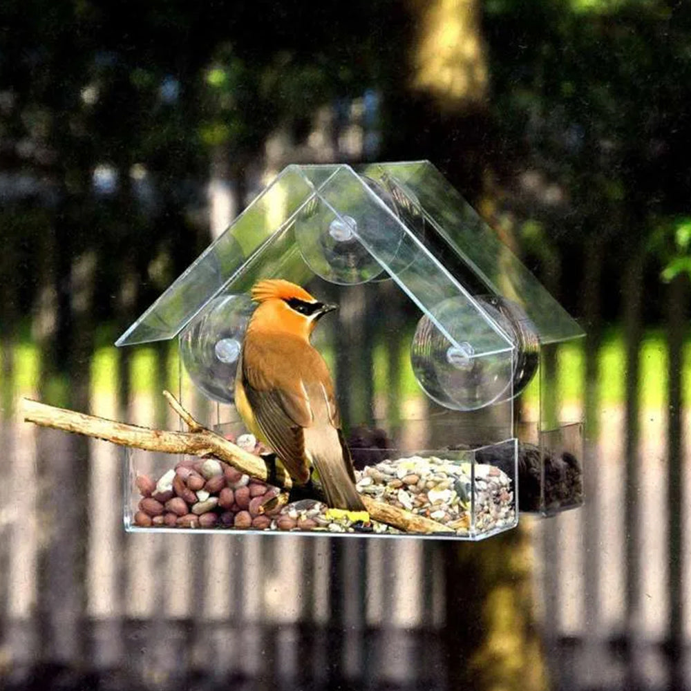 Casa comedero para pájaros - Transparente con ventosas - Juego de 2 piezas