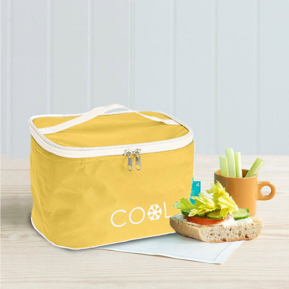 Isolierte Kühl-Lunchtasche mit Griff – 4 Liter – faltbares Design 