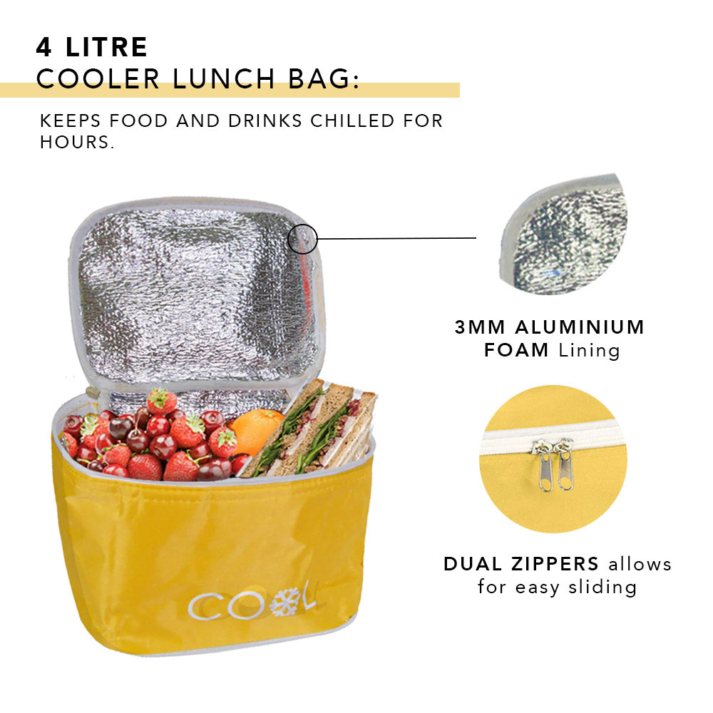 Isolierte Kühl-Lunchtasche mit Griff – 4 Liter – faltbares Design 